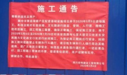 阆中各种爆料案件最新,揭秘背后真相与法律较量